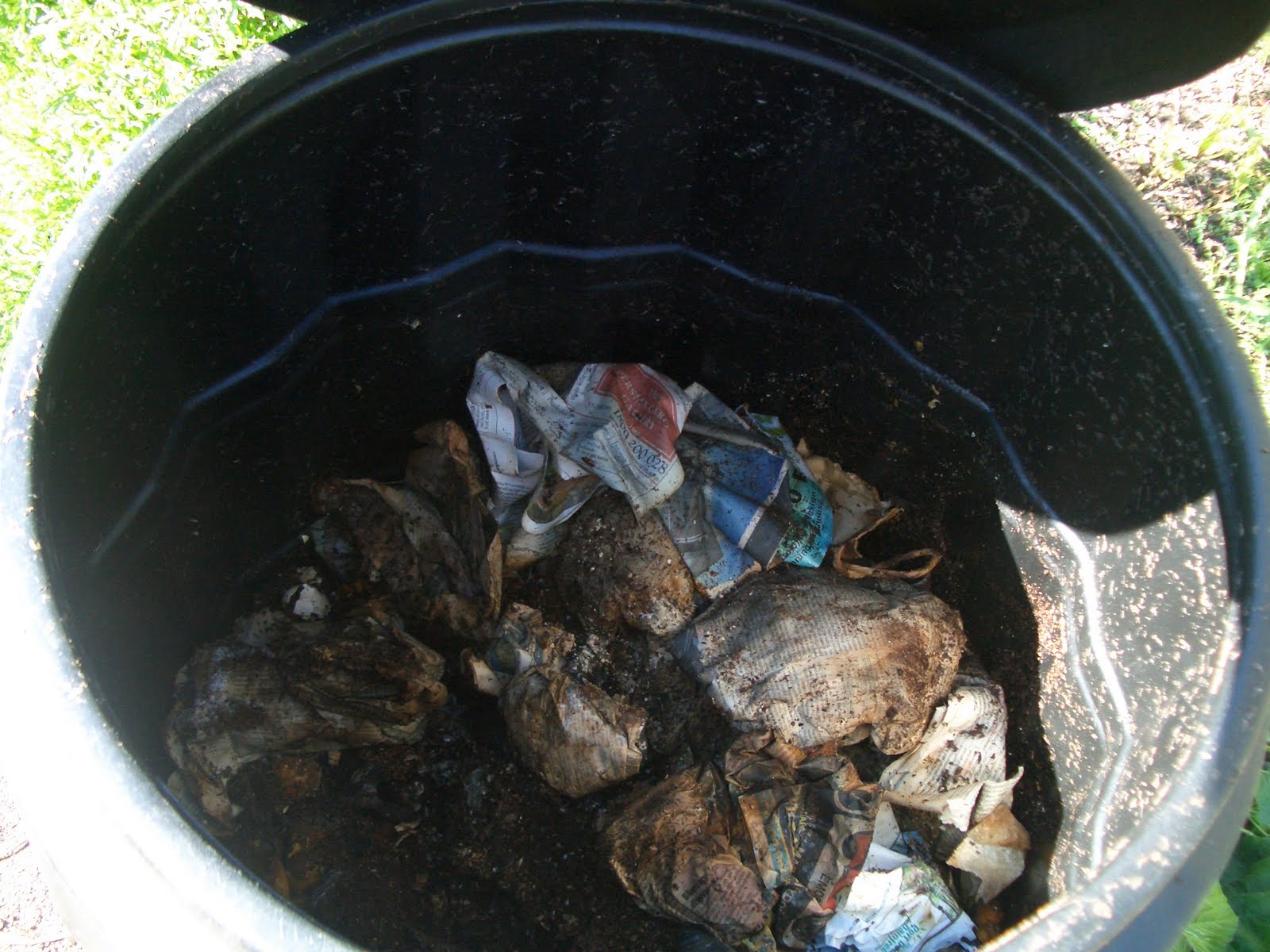 Compost and a dead bird for activation