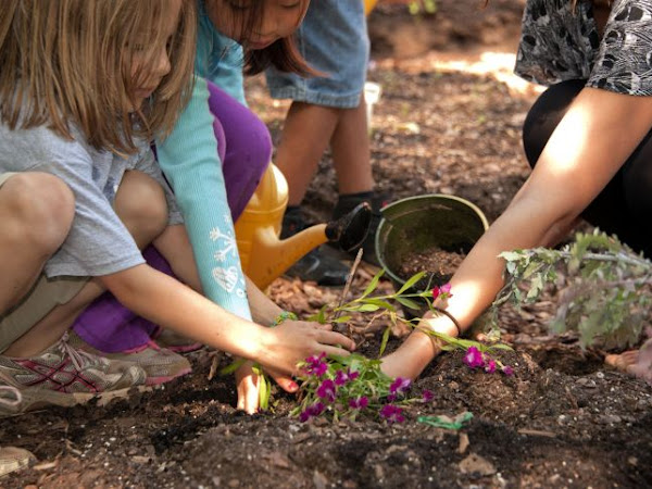 Why You Should Encourage Kids to Get Gardening