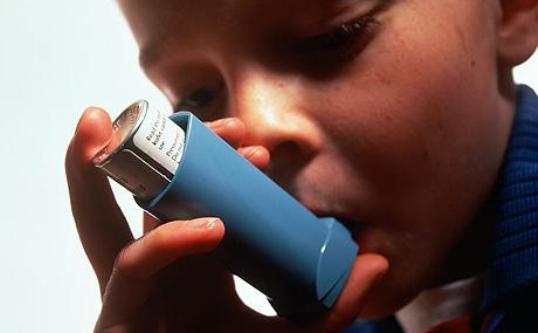 A Dog In The Home May Lower Kids' Odds For Asthma
