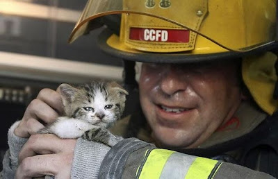 Animals Being Rescued Seen On www.coolpicturegallery.us
