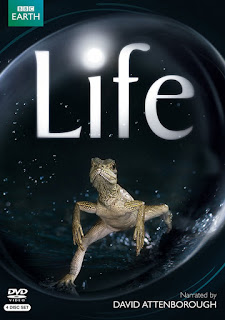 Cuộc Sống Hoang Dã - BBC: Life Cuộc Sống Hoang Dã