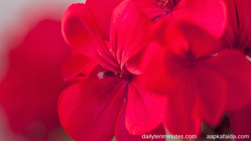 My Soul Has A Hat Something New Everyday