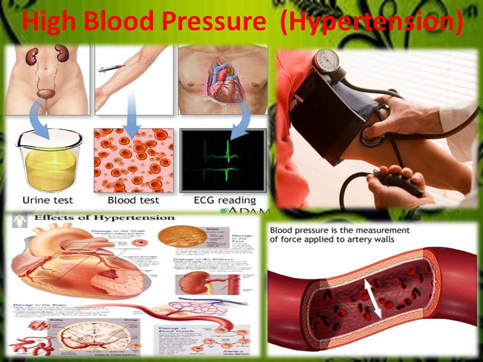 miracle grass HIGH BLOOD PRESSURE