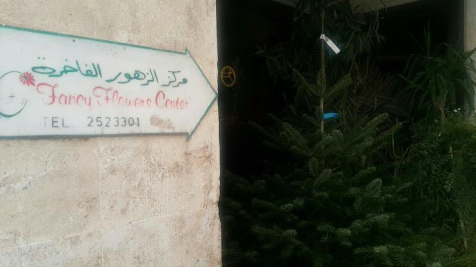 Ladies who do lunch in Kuwait Real Christmas Trees at Fancy Flowers