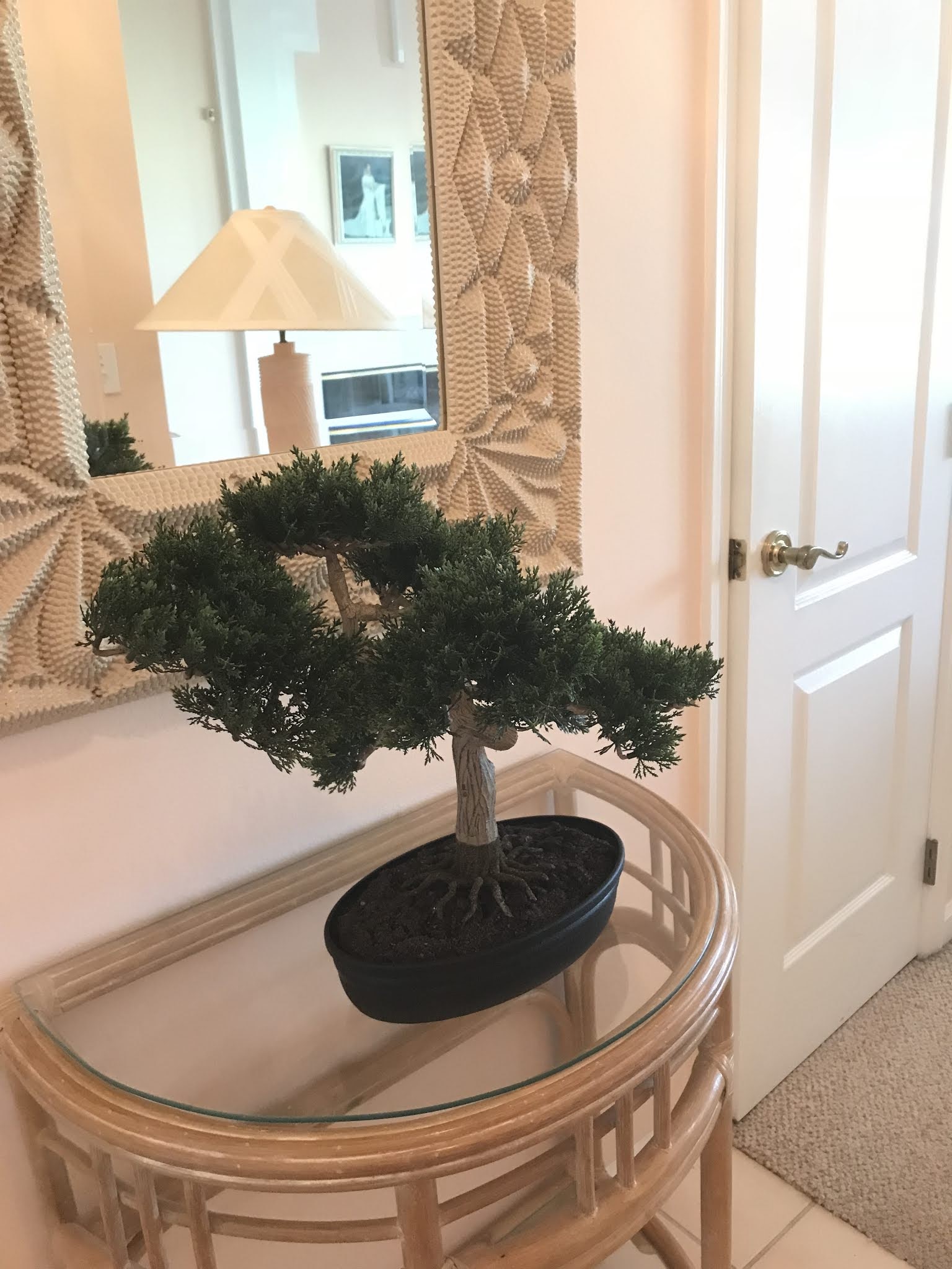 The Commercial Silk Bonsai Tree [The Color Wheel Gallery]