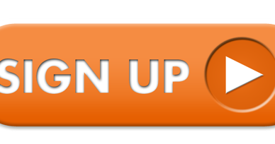 Forex audit program