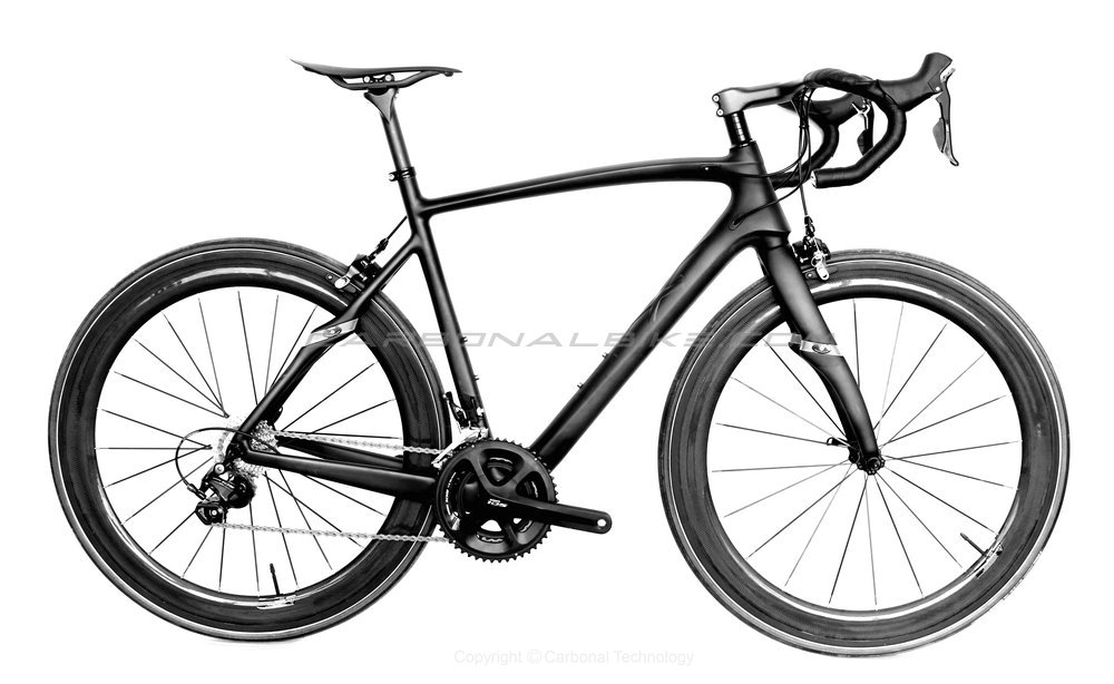 carbonal bike