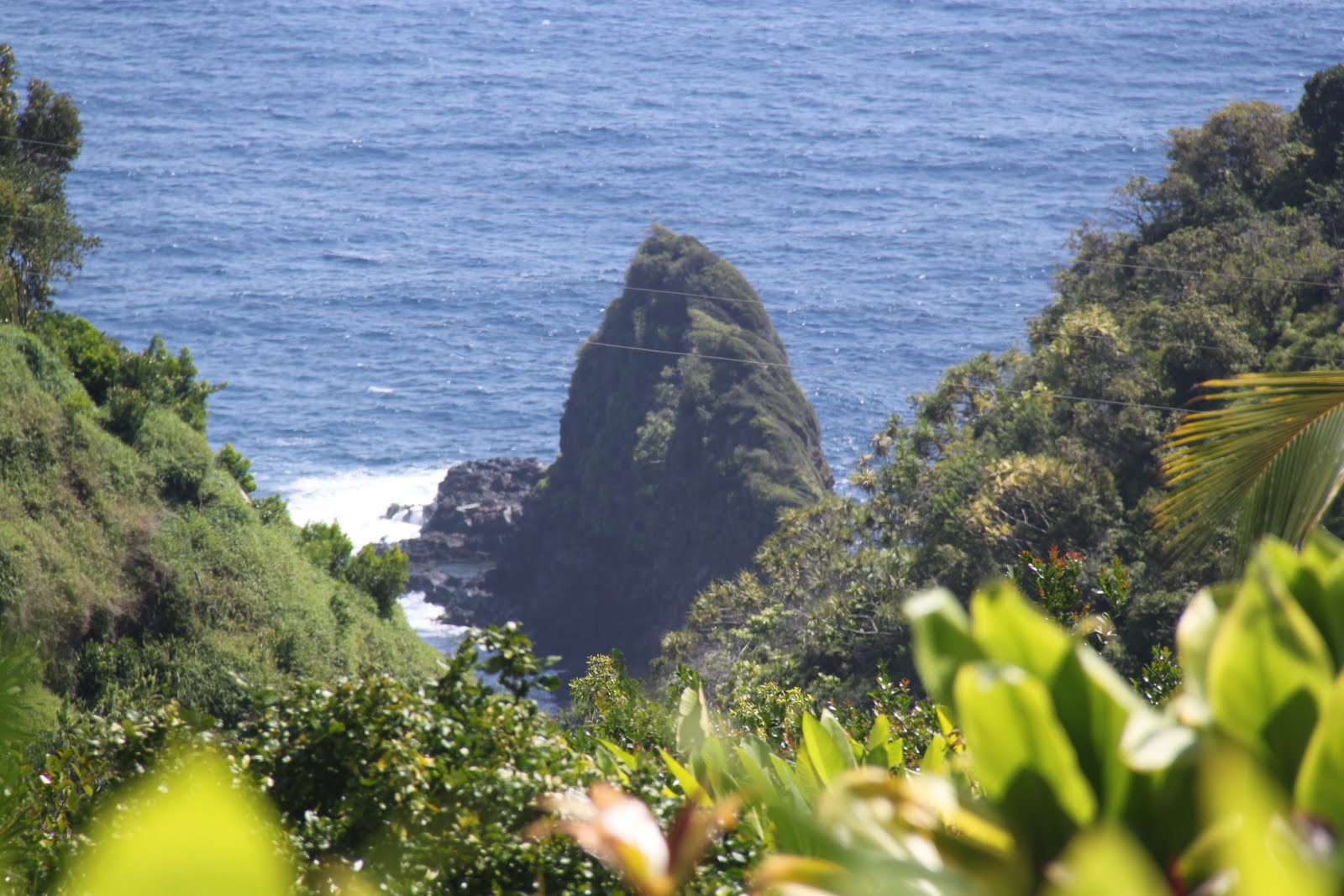 Where the Child Things Are Maui Vacation