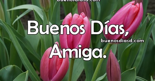 Video con Frases de Buenos Días para una Amiga | Imágenes y Frases de