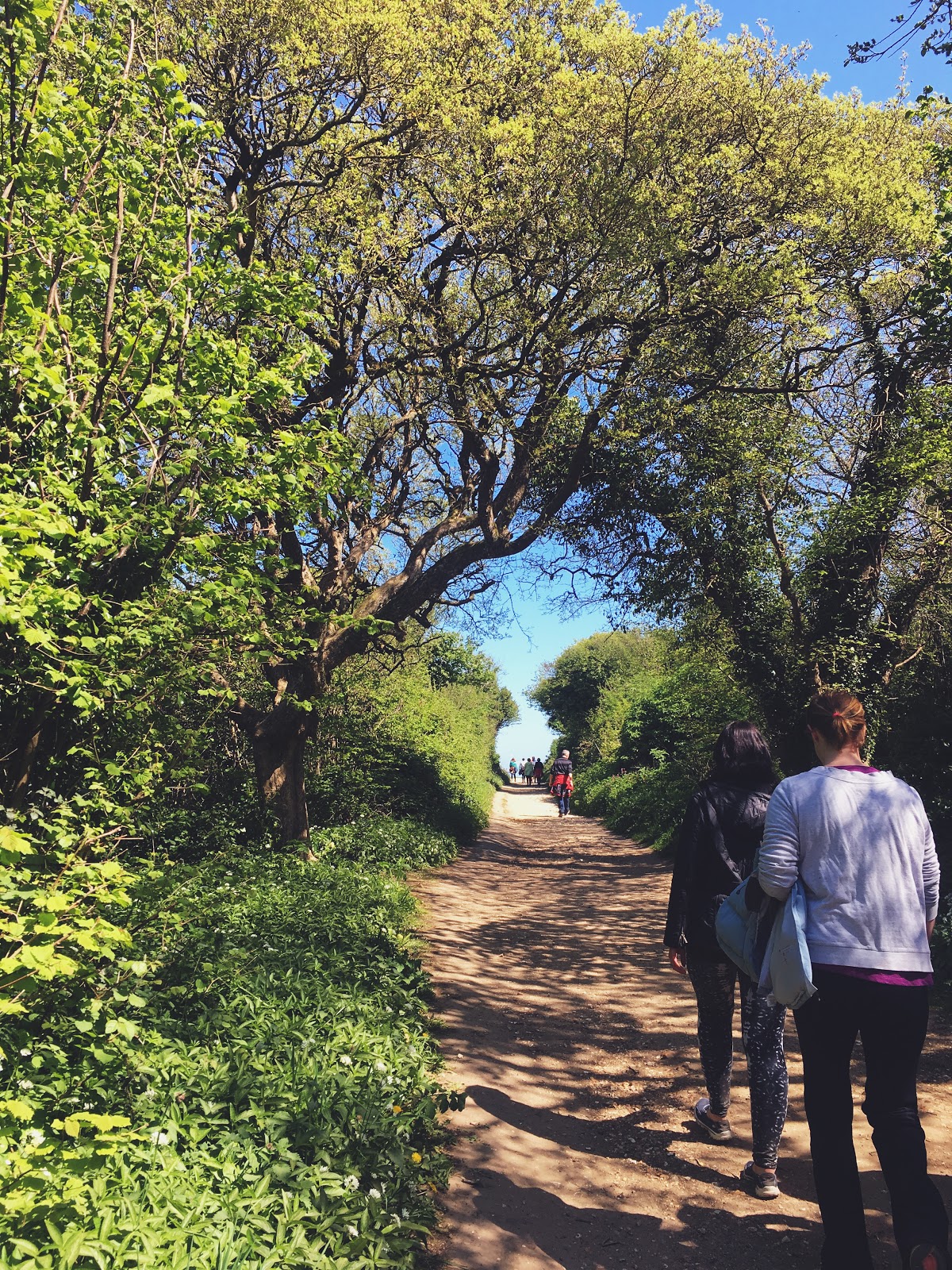 Mindful walking + Mother Earth
