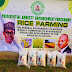 Presidential amnesty beneficiaries produce and distribute 1500 bags of rice