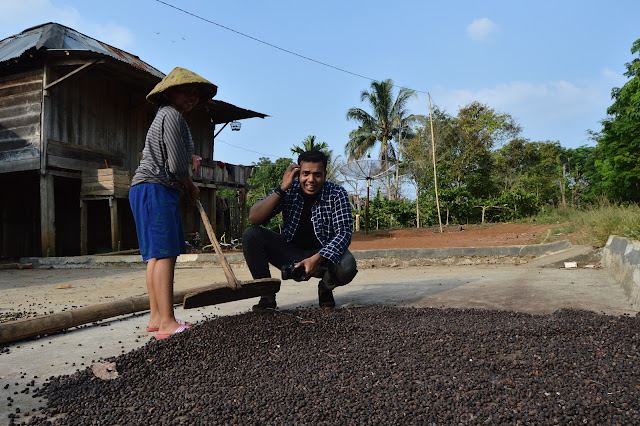Daftar Harga Kopi di Indonesia  Menulis Indonesia