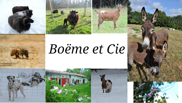 Boëme et Cie