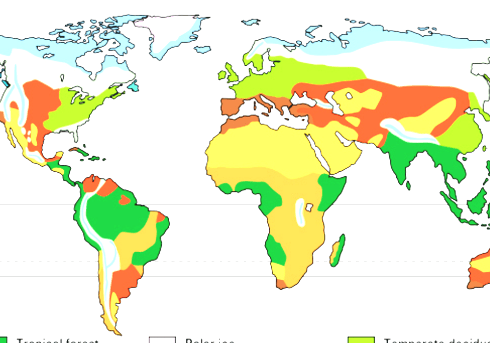 Map Of Biome Locations In The World Temperate Rain Forest | My XXX Hot Girl