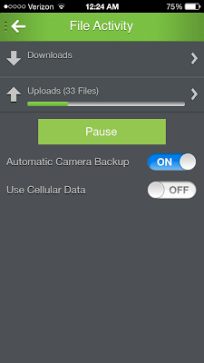 Enable iCloud Alternative Bitcasa Camera Roll Back Up