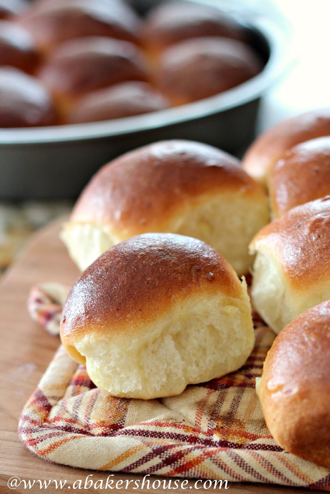Individual Mashed Potato Rolls on a hot pad holder with pan of rolls in the background 