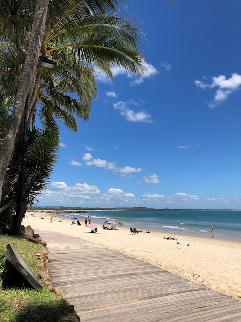 Travel Noosa Qld Roses And Rolltops
