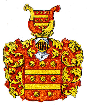 ohut tyttö iso kalu