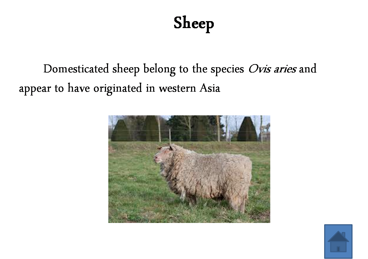 Animal Science and Technology: Meat Science "the origin of meat and