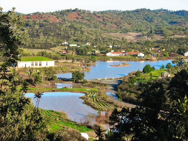 Tamera eco-villaggi