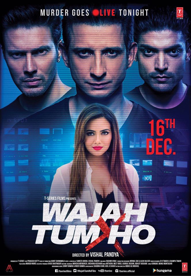 Wajah Tum Ho 2016 Movie Free Download Webrip