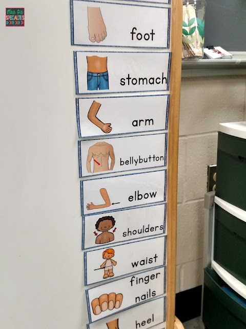Word wall vocabulary cards