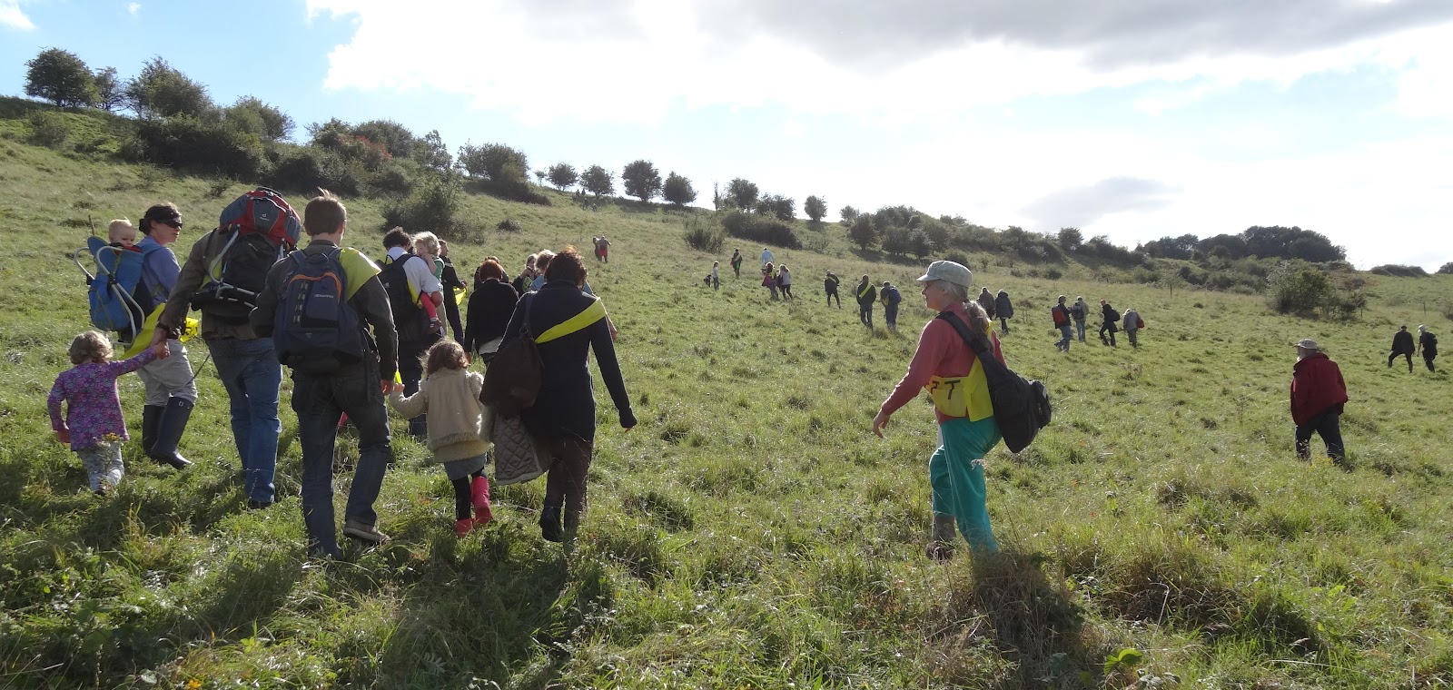 Hagthorn 20th Anniversary of Twyford Down No New Roads!