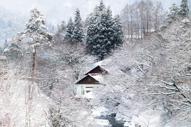 #photo #landscape #sigma #foveon #sdquattroh #japan #yamagata #tsuruoka #山形県 #鶴岡市 #山形帝國 #写真 #風景写真