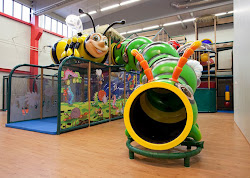 Themed Indoor Playground