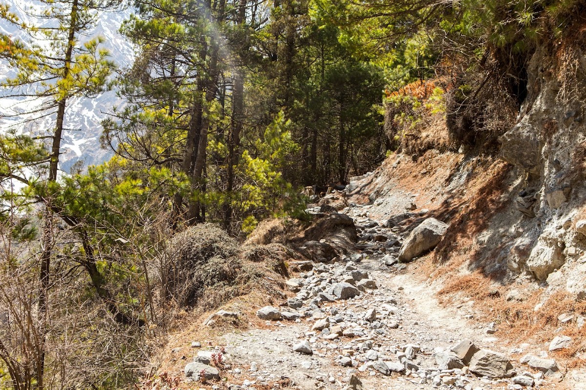 200км по красно-белым черточкам.. Around Annapurna. март-апрель 2017