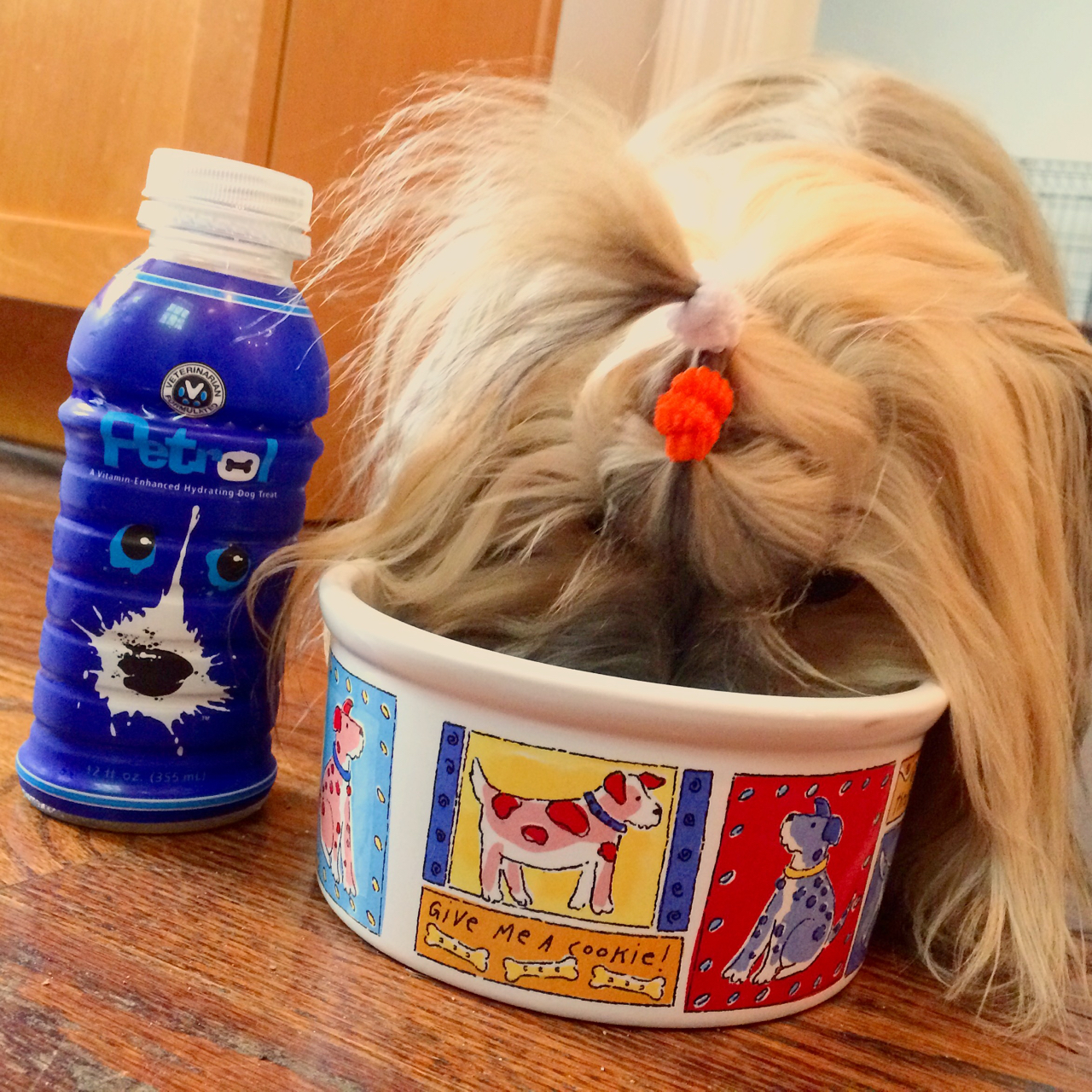 To Dog With Love Petrol Fuel for Dogs A Tasty, Hydrating Treat