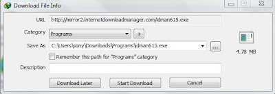 internet download manager(IDM) article