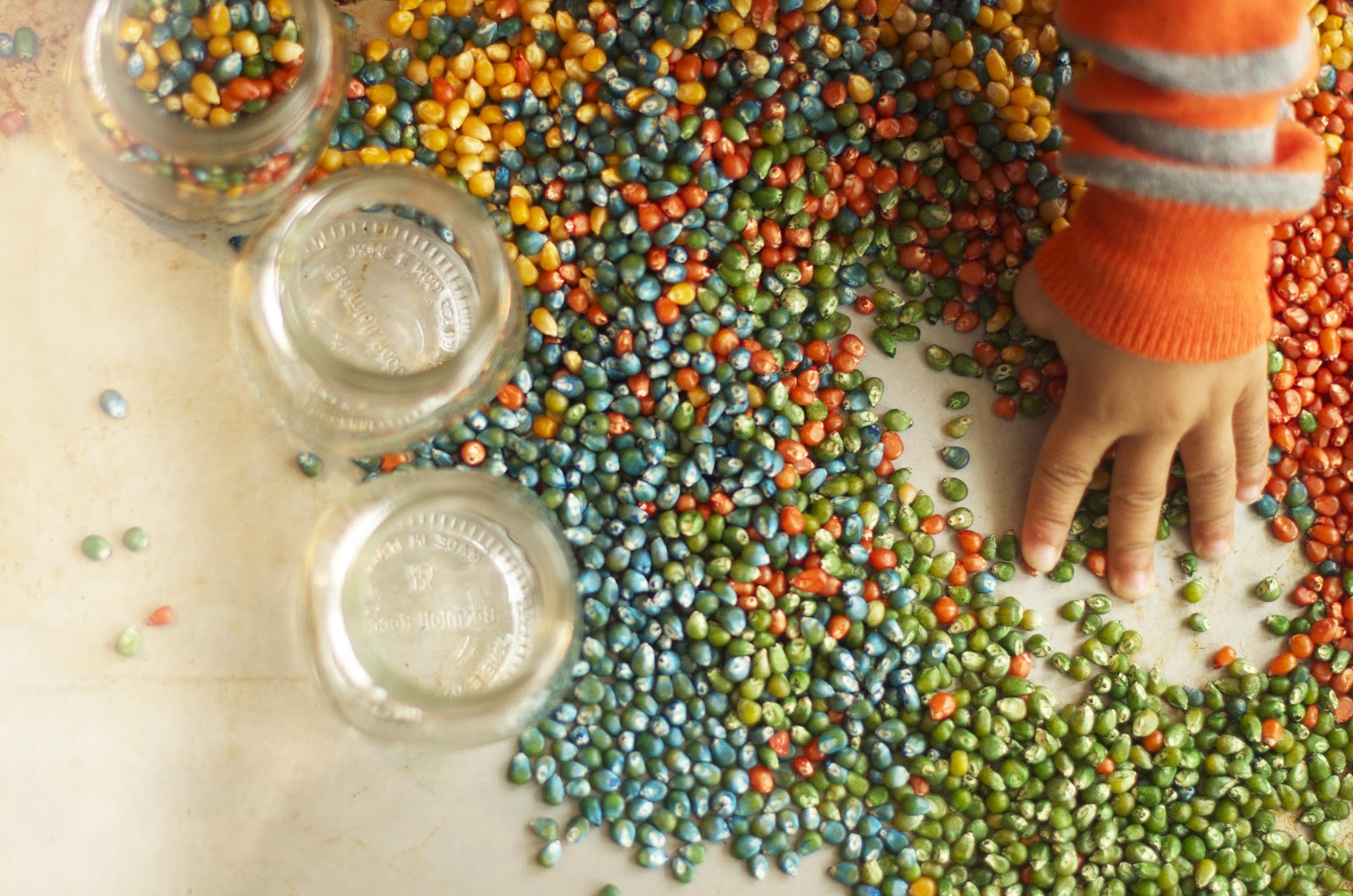 different colored popcorn kernels