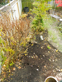 Annex garden cleanup Annex Paul Jung Toronto Gardening Services after