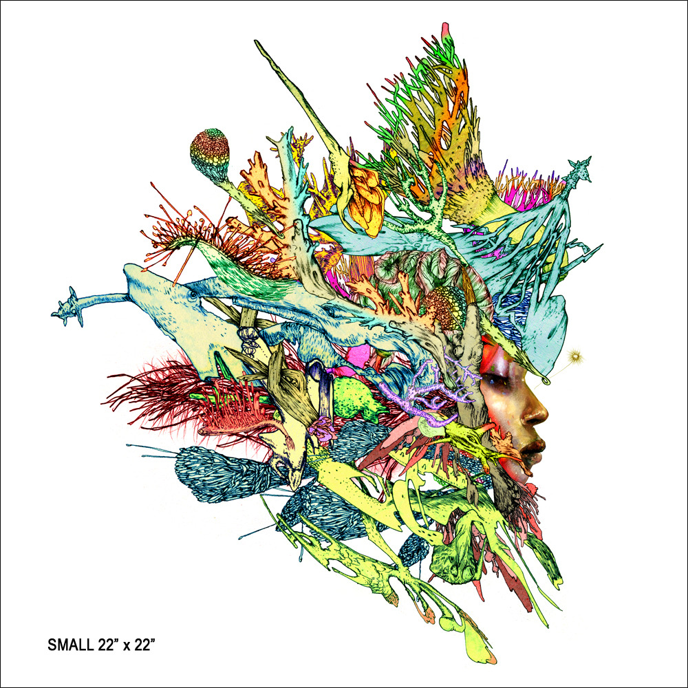 David Choe “Swamp Girl” New Print Available June 3rd
