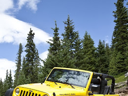 Dire and Thus Wolf Much Outdid Fruitful and Jeez