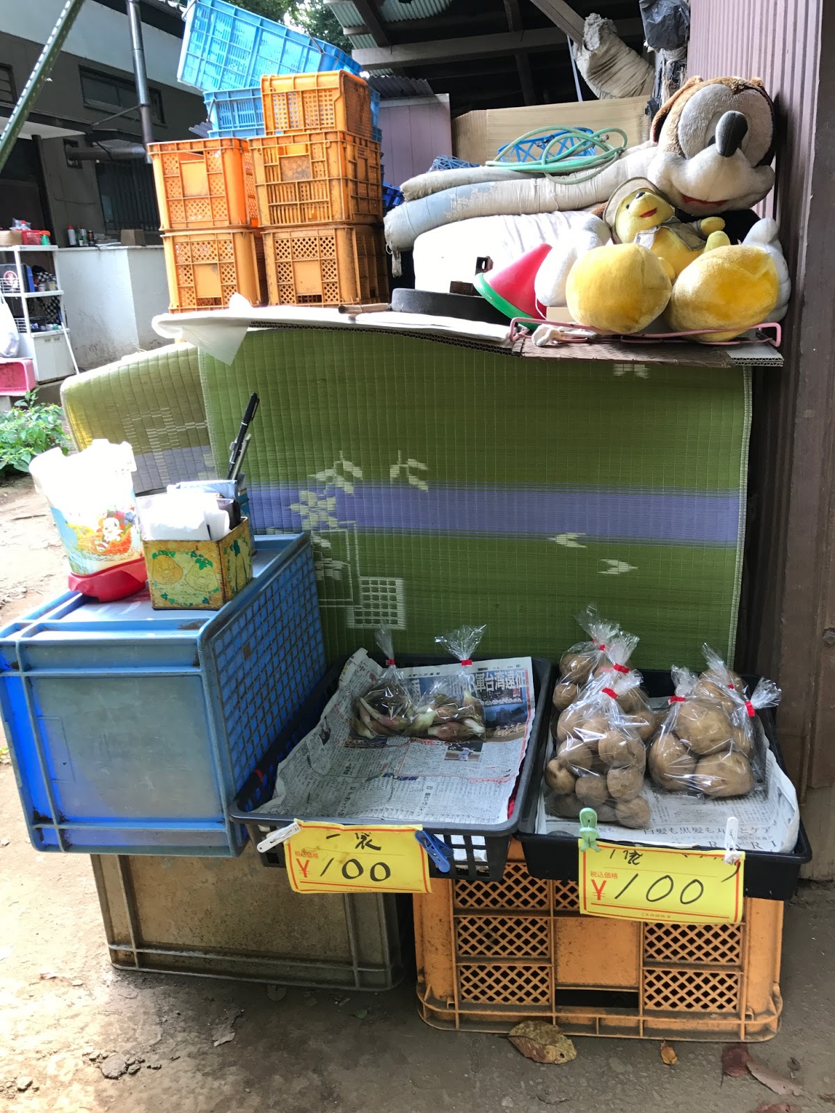 葉織 Haori Flowers 新宿区のお花屋さん 新座市界隈の散策