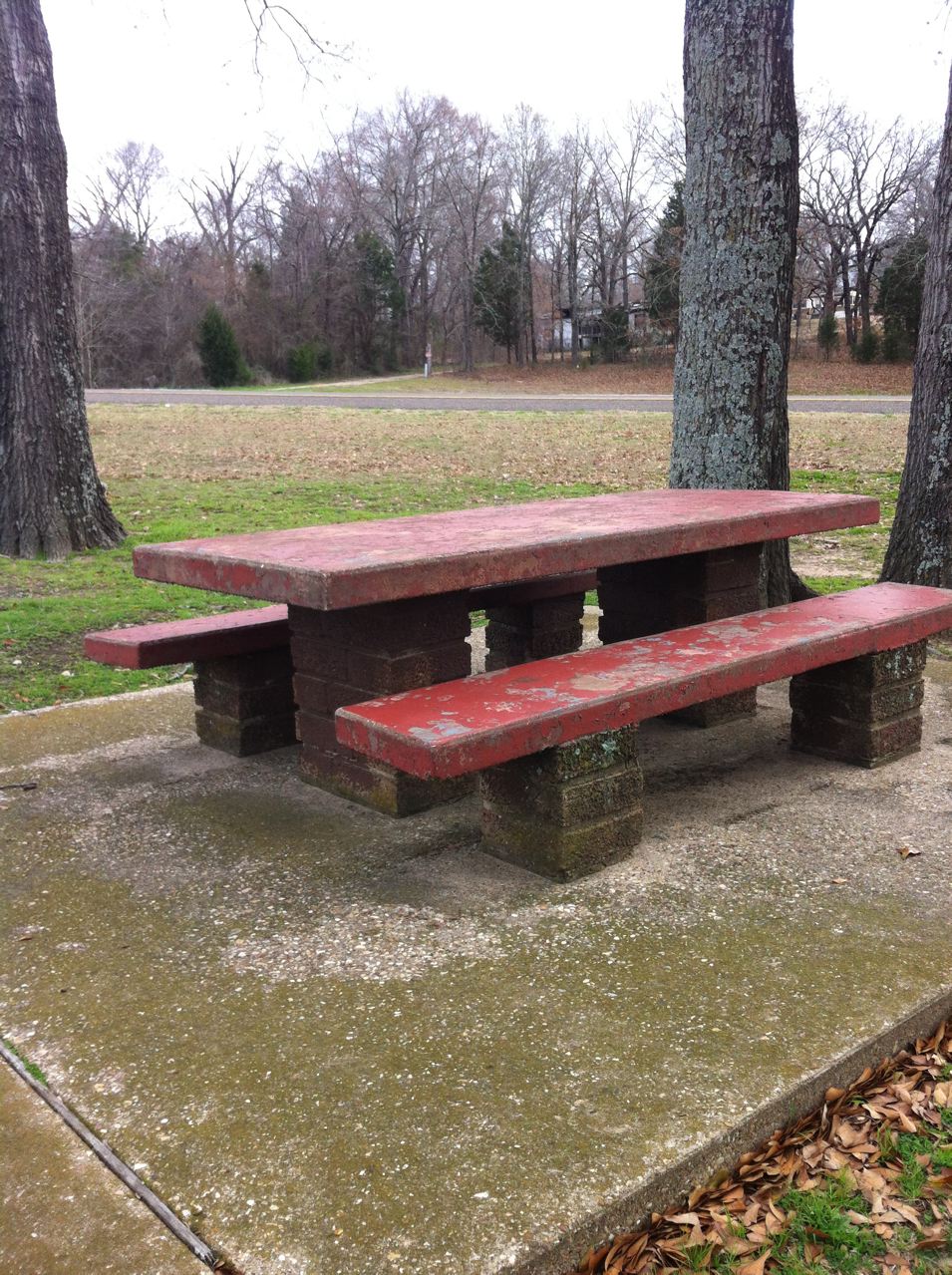 We Love Texas Picnic Areas
