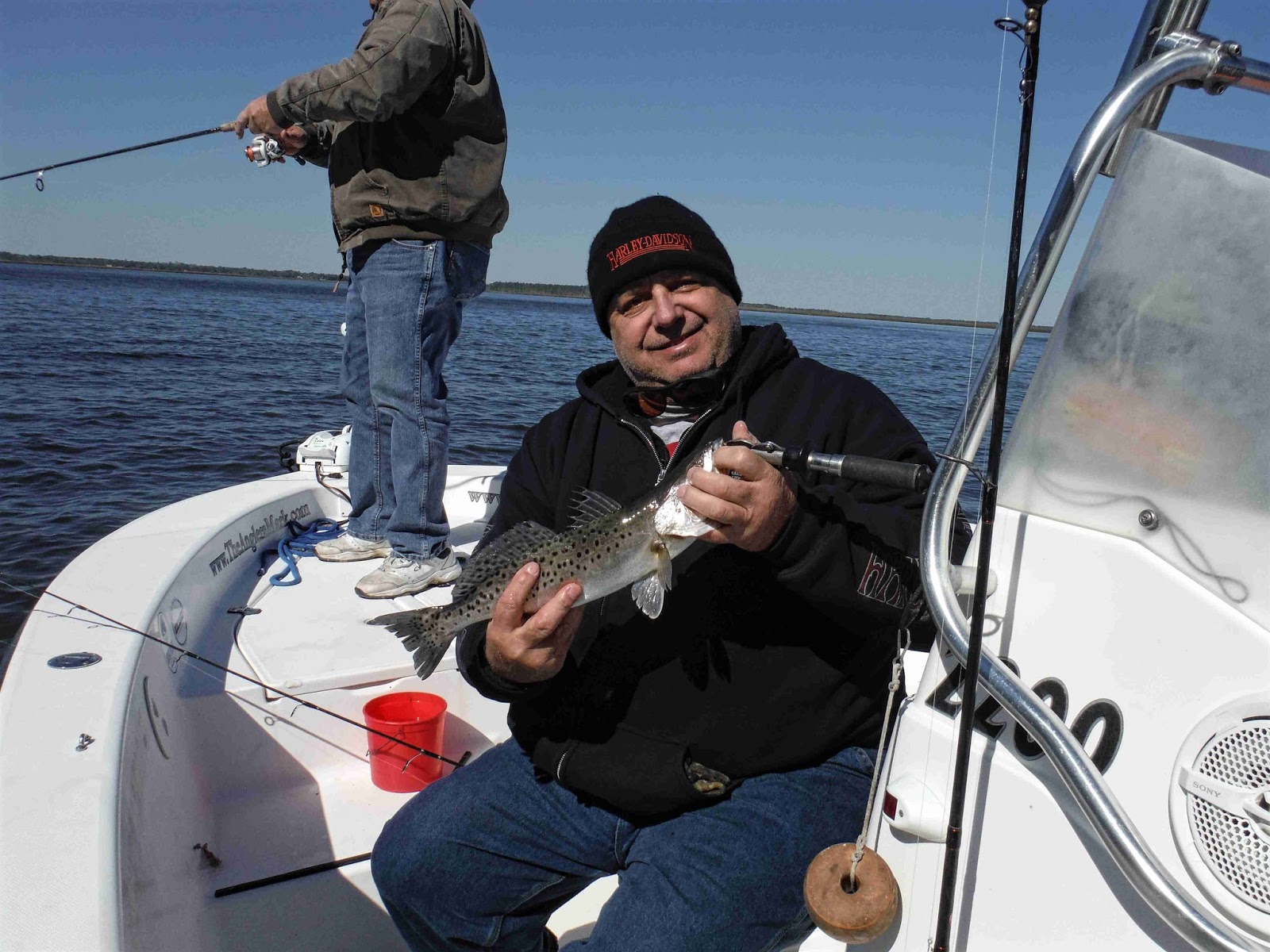 Amelia Island Fishing Reports Low Pressure High Pressure