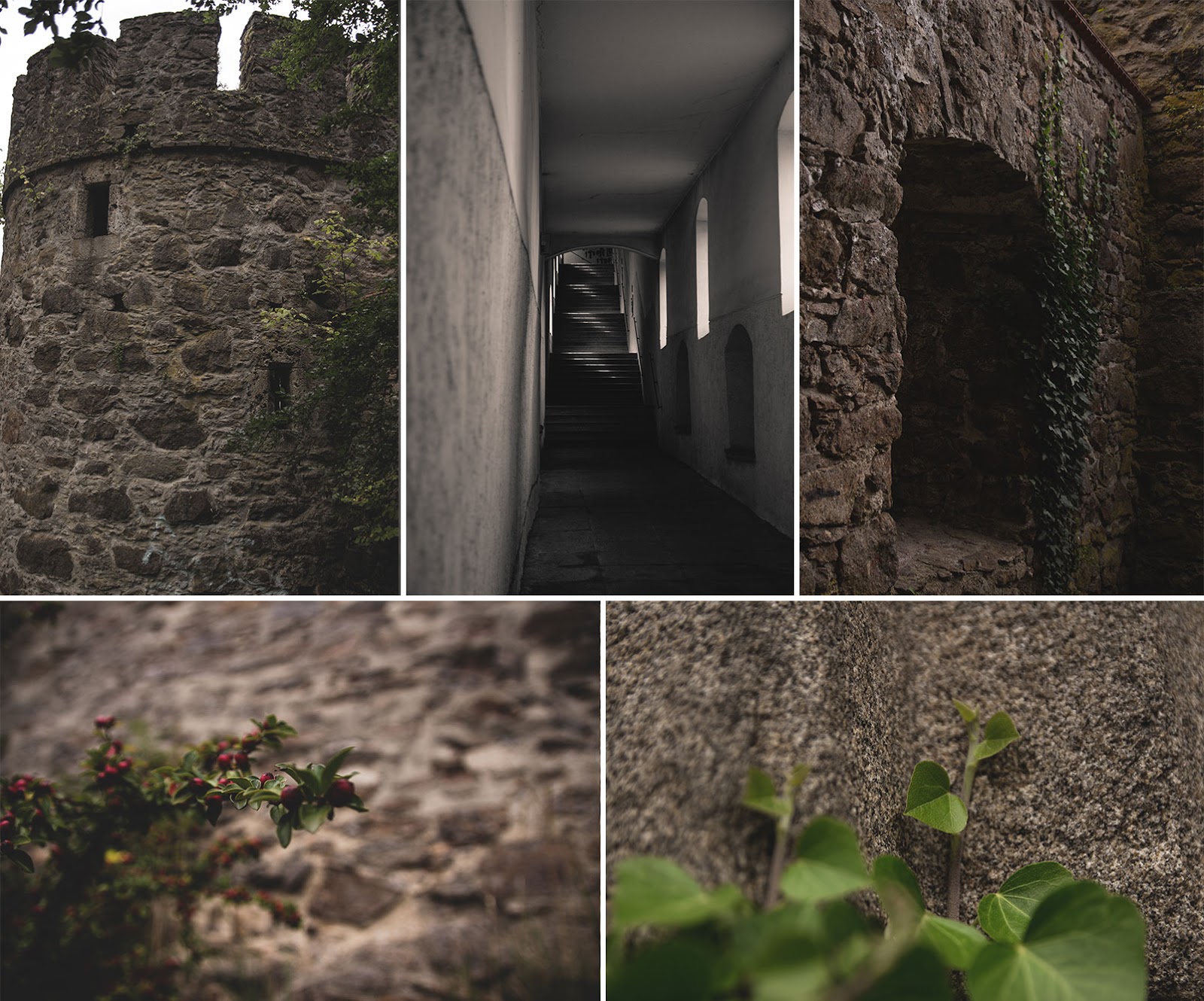 87 Entgrenzer Die Sich Wie 12 6 Afd Benehmen Deus Ex Machina