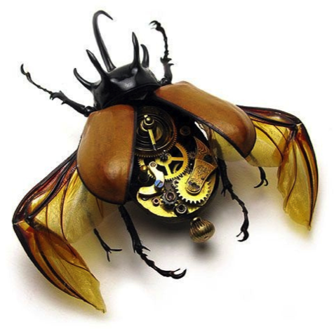 FUTURE TAXIDERMY: Mike Libby - mechanical bugs