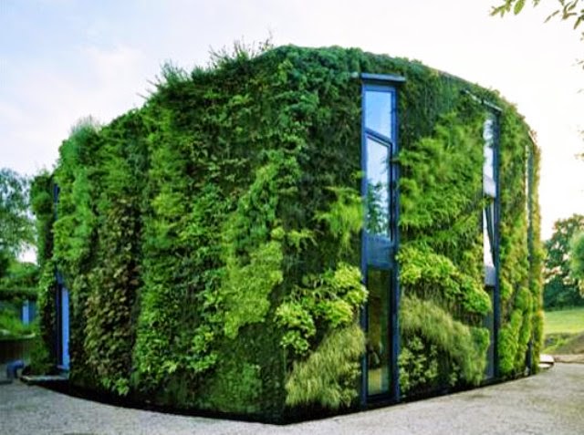 Best Homes Garden: Home Garden Design