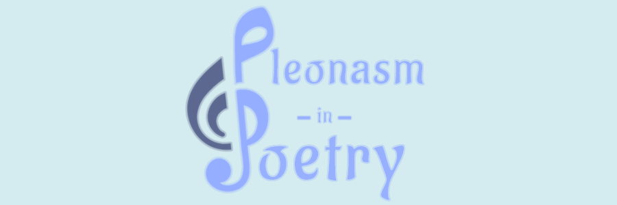Pleonasm in Poetry