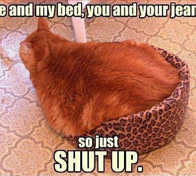 Trusting In The Lord For All Things: A Work Around