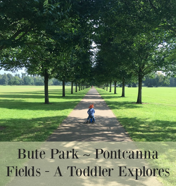 Bute-Park-Pontcanna-fields-a-toddler-explores-text-on-image-of-toddler-on-bike-in-avenue-of-trees