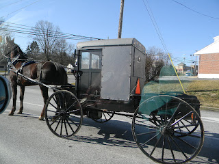 DSCN0179.JPG