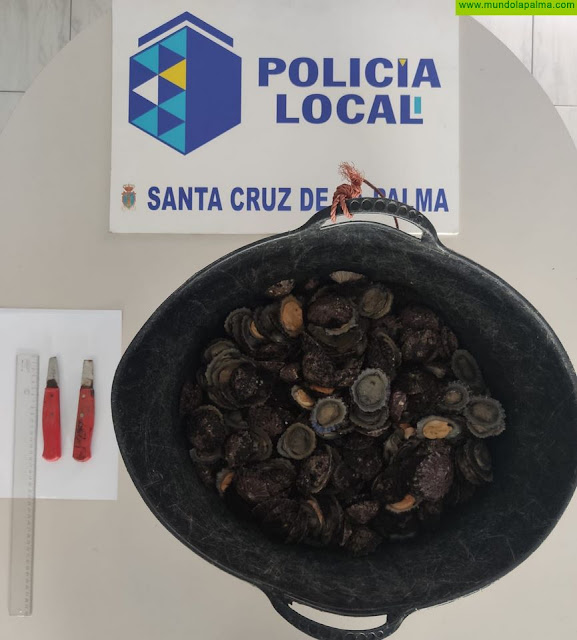 La Policía Local incauta más de 16 kilos de lapas recolectadas de manera ilícita