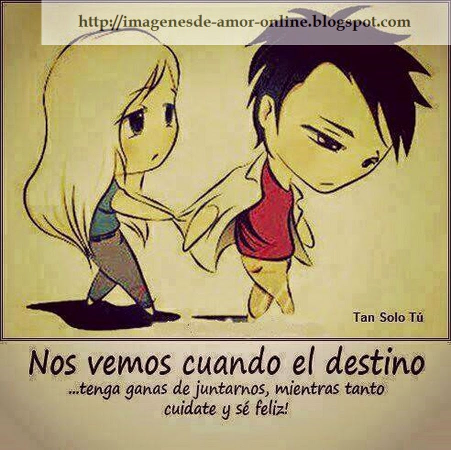 Ver Imagenes De Amor Online Desmotivaciones Con Frases