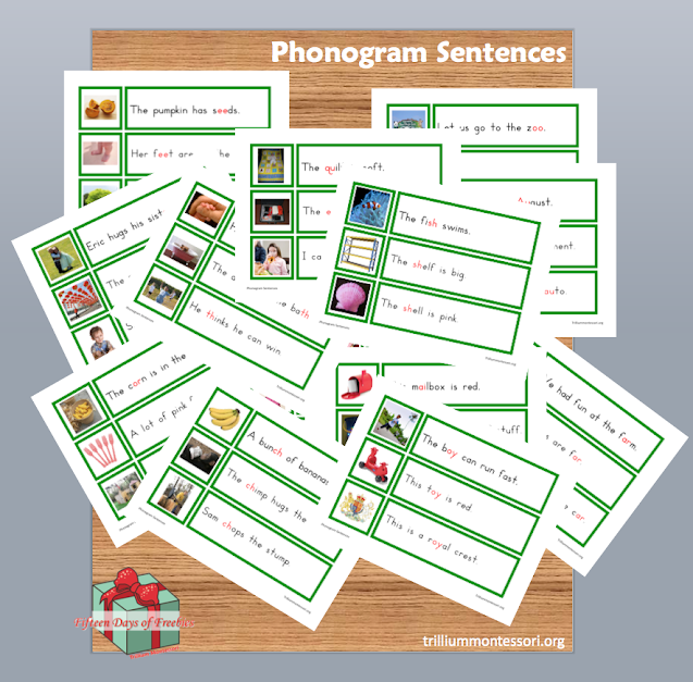 Phonogram Sentences