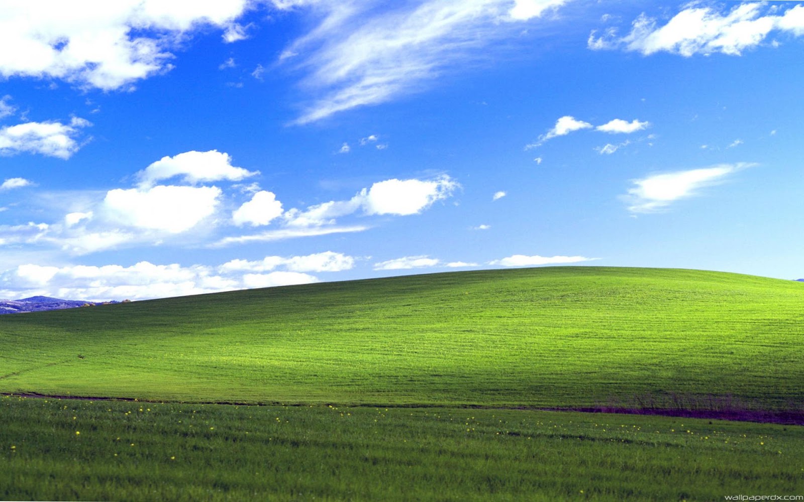 Windows XP Logo - PNG y Vector